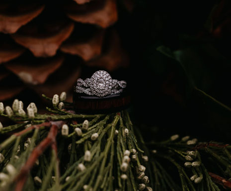 The Home Place at Valley View is a Kansas City Wedding and Reception Venue and is located just outside of Orrick, Missouri, overlooking the Missouri river bottoms. Surrounded by the breathtaking landscapes, it is the ideal mix of rustic beauty and elegant accommodations to host your rehearsal, wedding ceremony and reception.